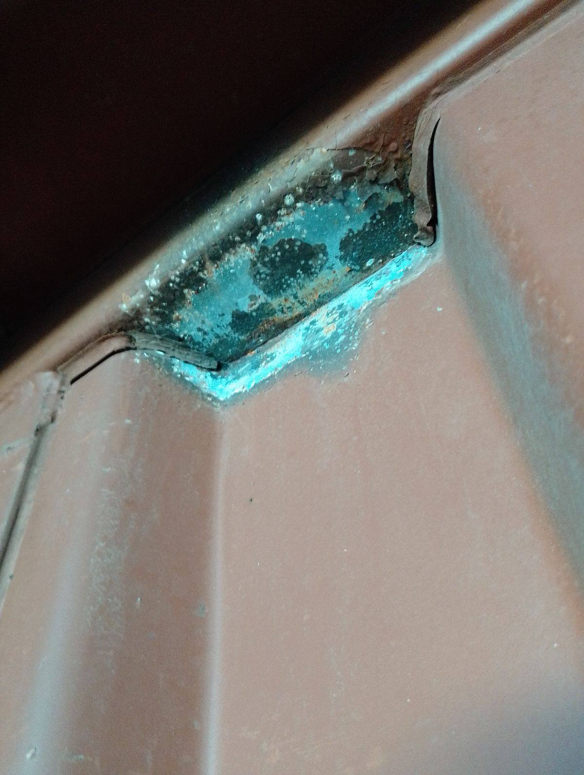 Морской контейнер TRLU9020999