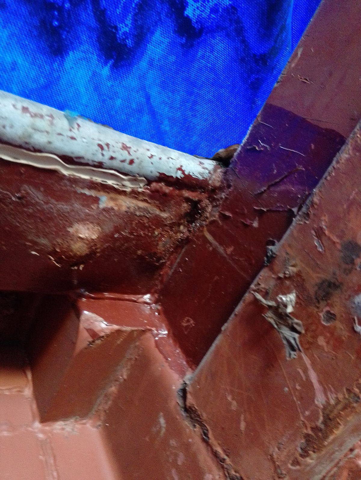 Морской контейнер TRLU9020999